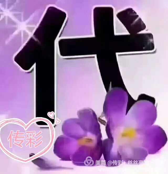 我担是什么意思(我担是什么意思韩语)