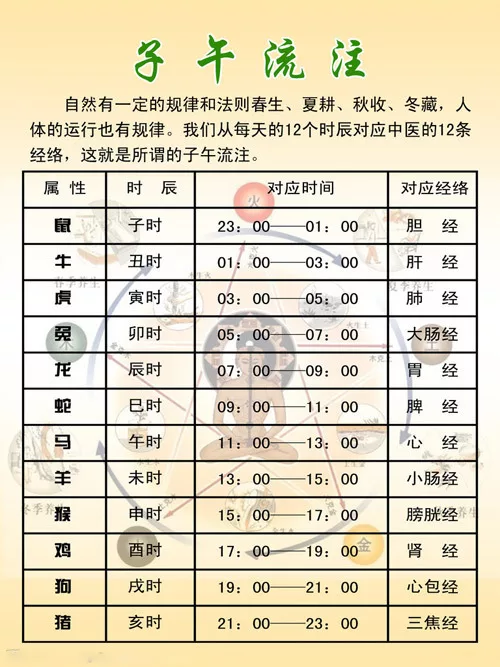 今年20岁属啥的(今年20岁属啥的今年2022)