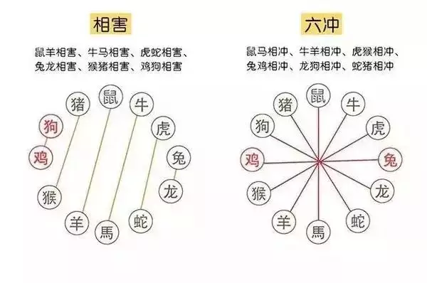 属鼠今天打麻将财运如何(属鼠今天打麻将财运如何2021)