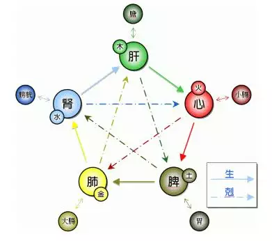 86年虎五行属什么(86年虎五行属什么,五行缺什么)