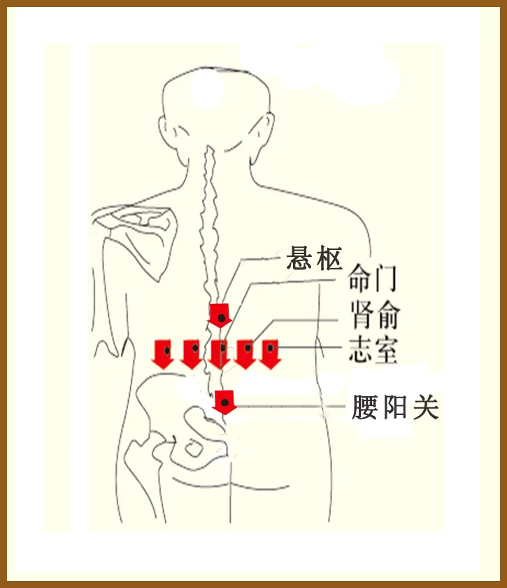 委中的准确位置图(委中的准确位置图作用功效)