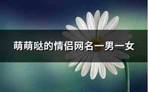 萌萌的情侣网名 呆萌一对