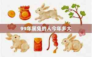 属兔今年多大了2024年
