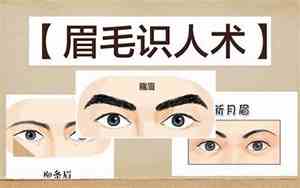 为什么不能纹眉毛面相学