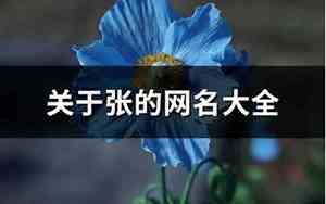 含有张的网名两个字