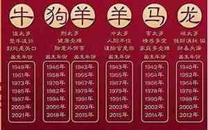 今年生肖表2024