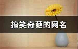 奇葩的网名会笑到抽筋