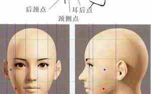 面相发际线高的人说明什么