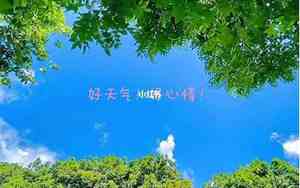 阳光灿烂心情好的句子简短