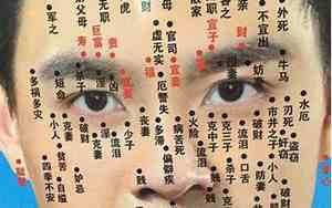 痣相图哪边是左脸,哪边显示的是右脸