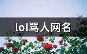 骂人网名越毒越好