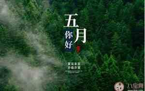 请五月善待我的句子怎么写