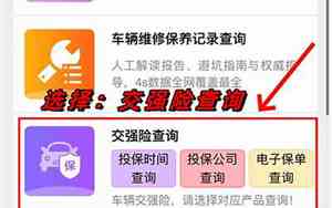 汽车电子保单怎么查询免费的