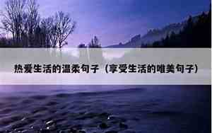 感怀生活的句子唯美